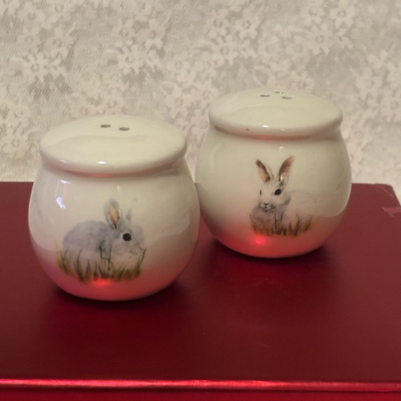 Charming Rabbit Salt and Pepper Shakers - Picture 10 of 10